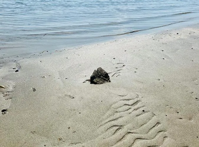 Aparthotel Marina-bay-resort Sukošan